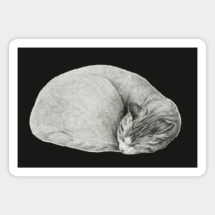 Rolled up lying, sleeping cat by Jean Bernard Magnet